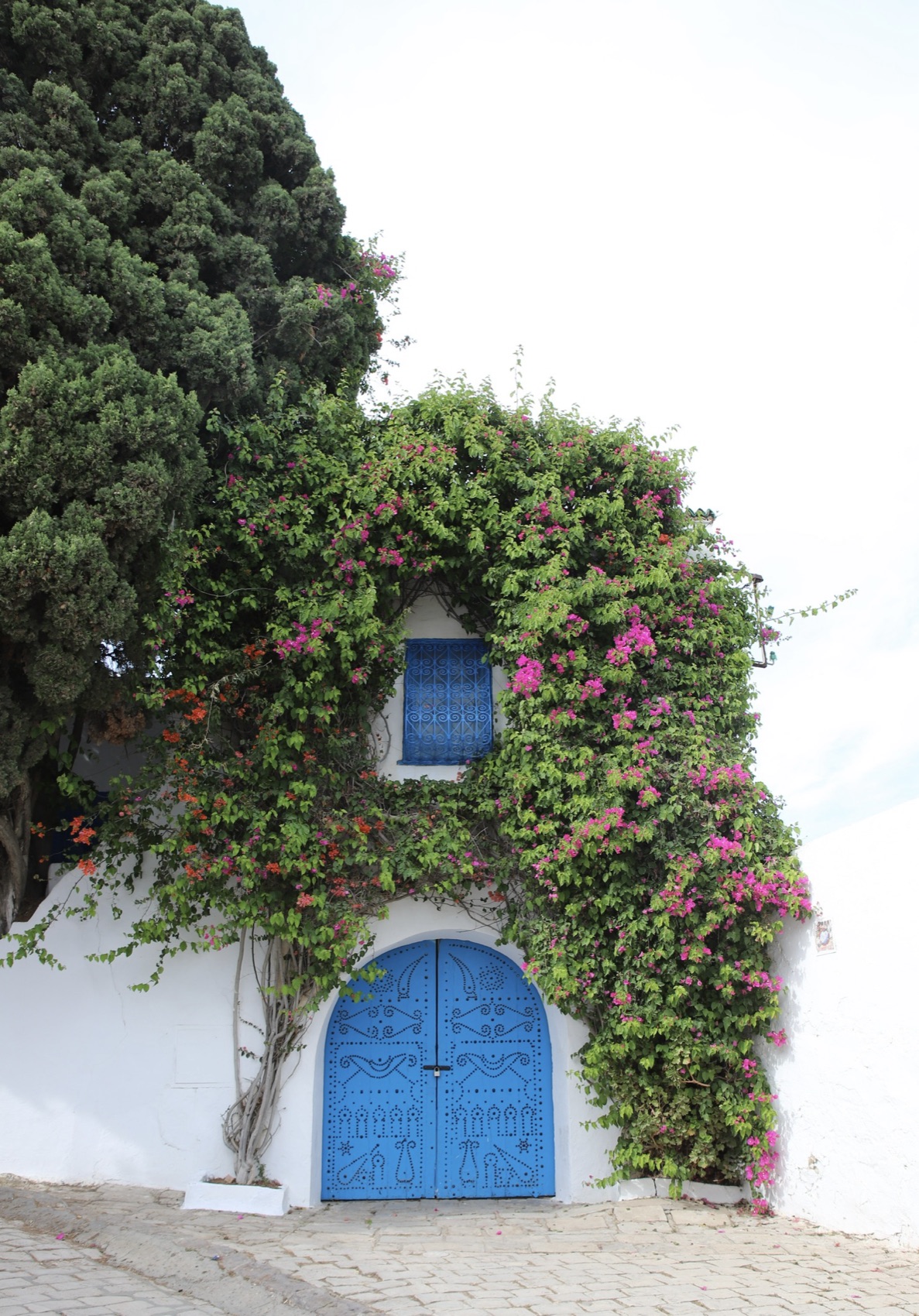 A carved blue Tunisian door and shuttered window framed by bougainvillea and a cypress