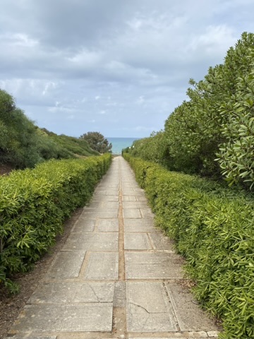 A paved path between green hedges leading down to the sea under a grey sky